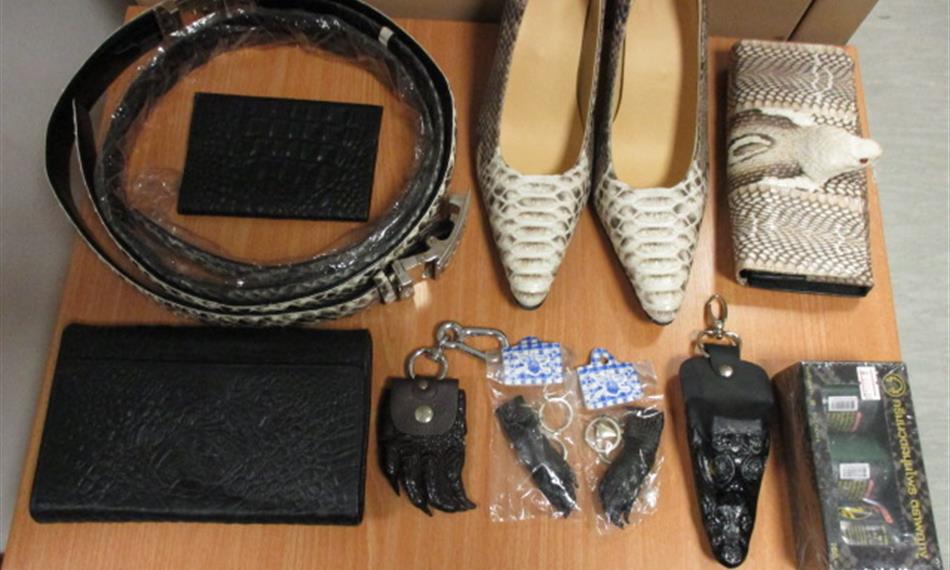 2018-5-23-751foto 4.JPG